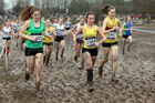 Womens under-20s 2018 British Inter Counties Cross Country Champs., Prestwold Hall, Loughborough. Photo: David T. Hewitson/Sports for All Pics